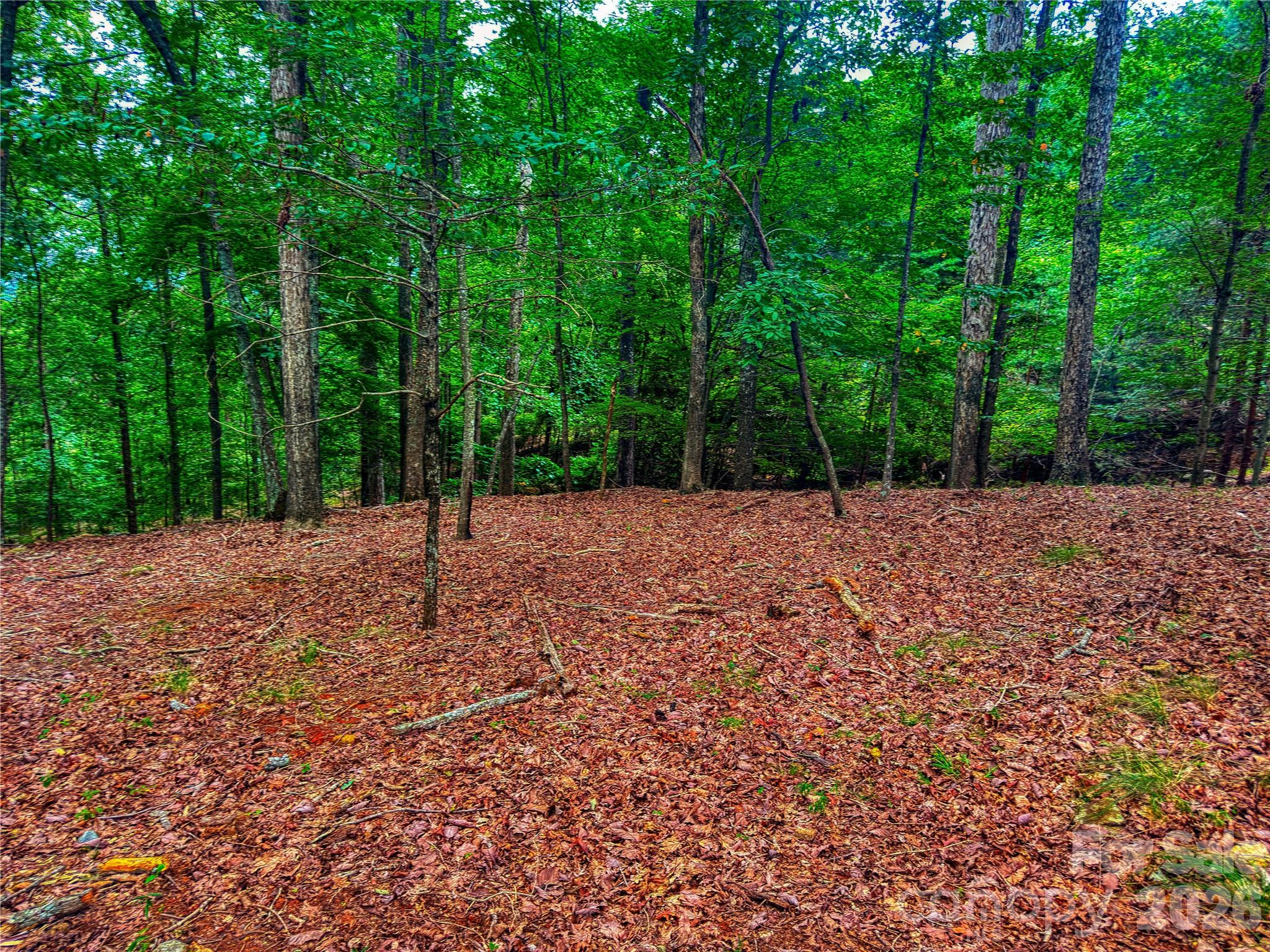 1996 Sierra Trace Road Denton NC 27239