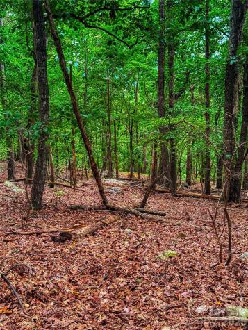 1996 Sierra Trace Road Denton NC 27239