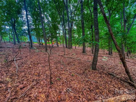 1996 Sierra Trace Road Denton NC 27239