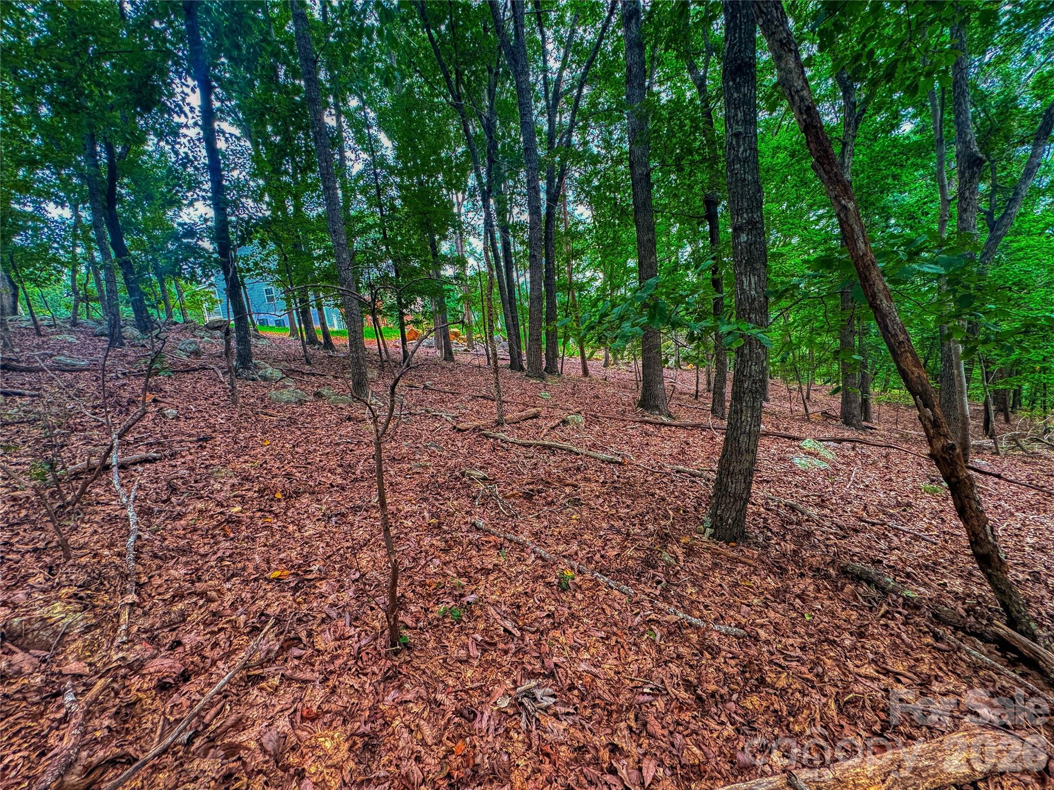 1996 Sierra Trace Road Denton NC 27239