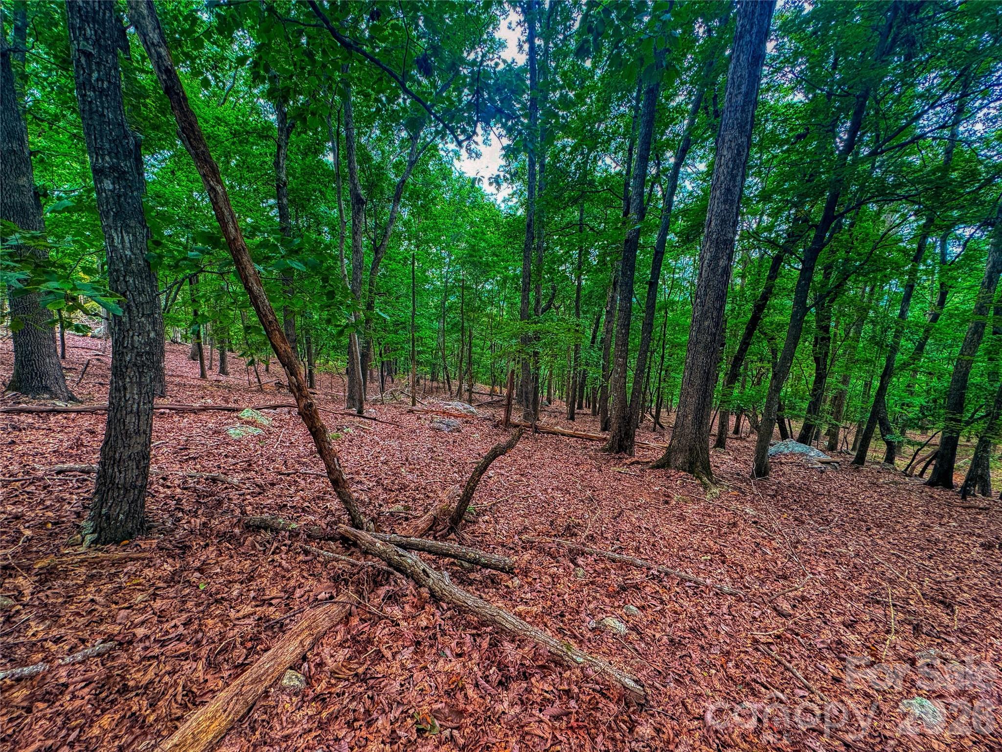 1996 Sierra Trace Road Denton NC 27239