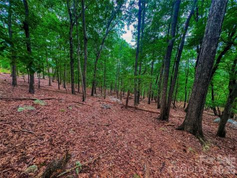 1996 Sierra Trace Road Denton NC 27239