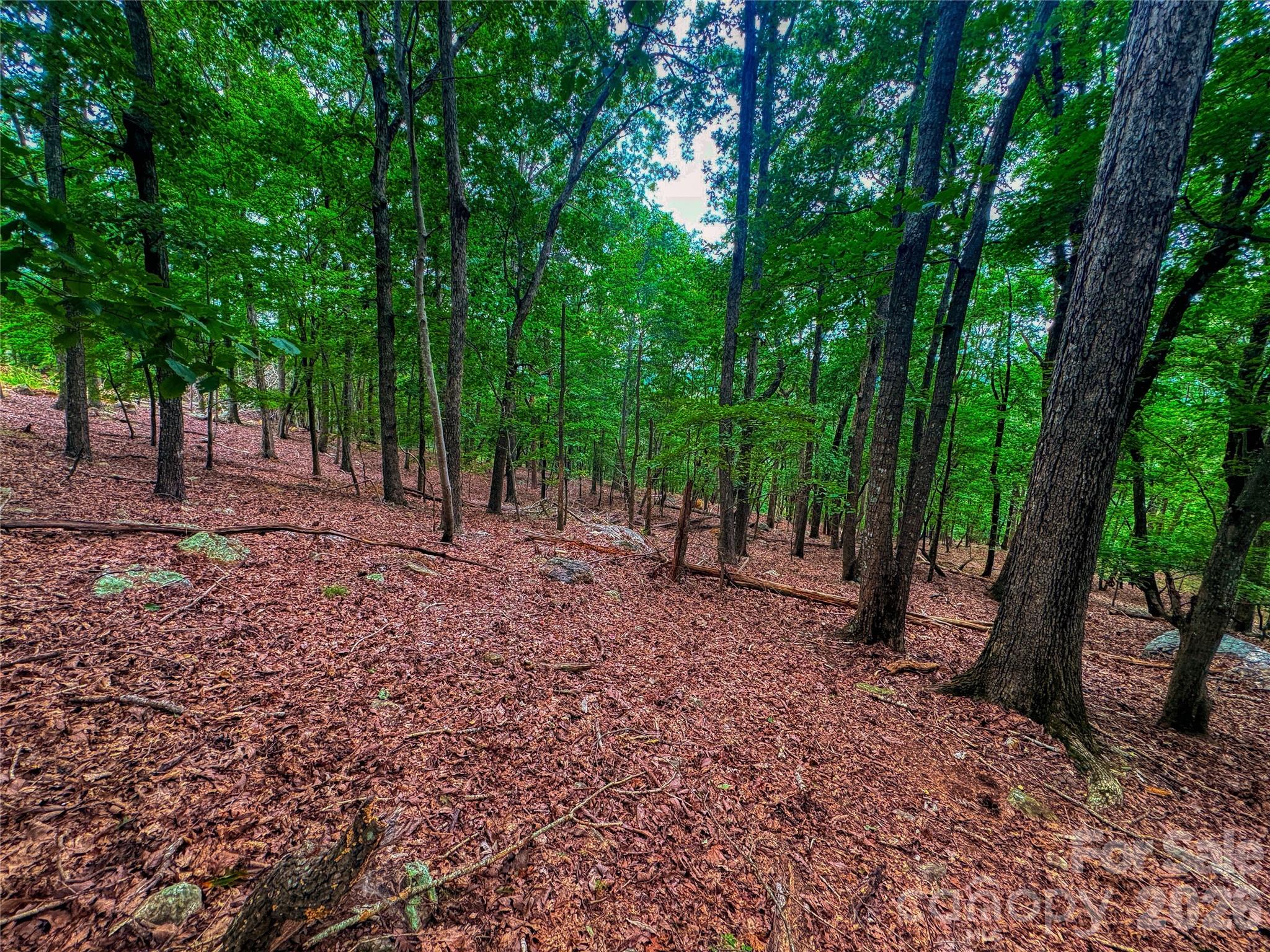 1996 Sierra Trace Road Denton NC 27239