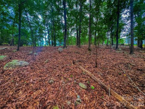 1996 Sierra Trace Road Denton NC 27239