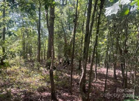 00 Blue Branch Road Gaffney SC 29340