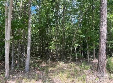 00 Blue Branch Road Gaffney SC 29340