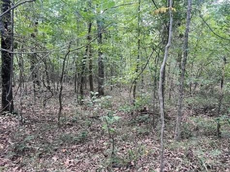 00 Blue Branch Road Gaffney SC 29340