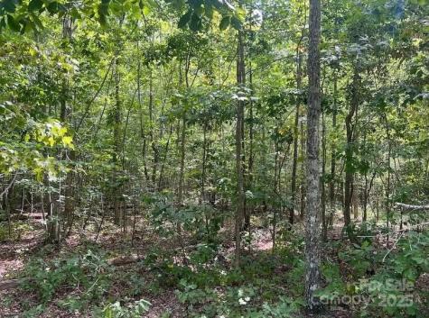 00 Blue Branch Road Gaffney SC 29340