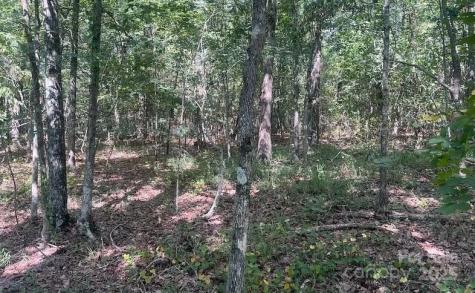 00 Blue Branch Road Gaffney SC 29340