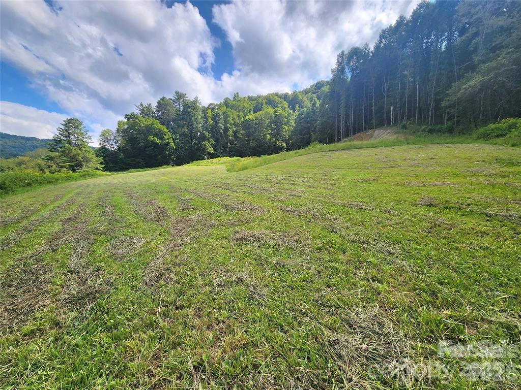 5570 Meadow Fork Road Hot Springs NC 28743