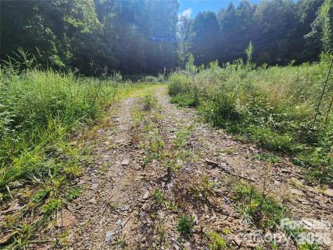 5570 Meadow Fork Road Hot Springs NC 28743