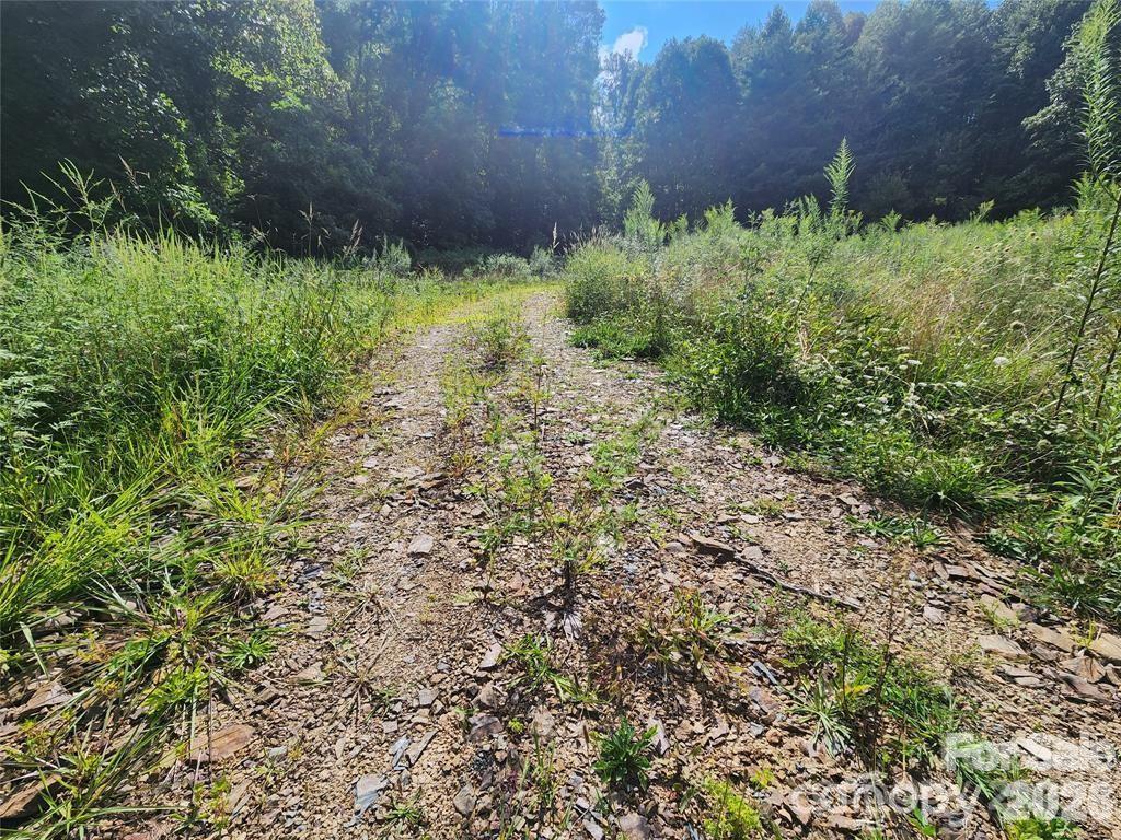 5570 Meadow Fork Road Hot Springs NC 28743
