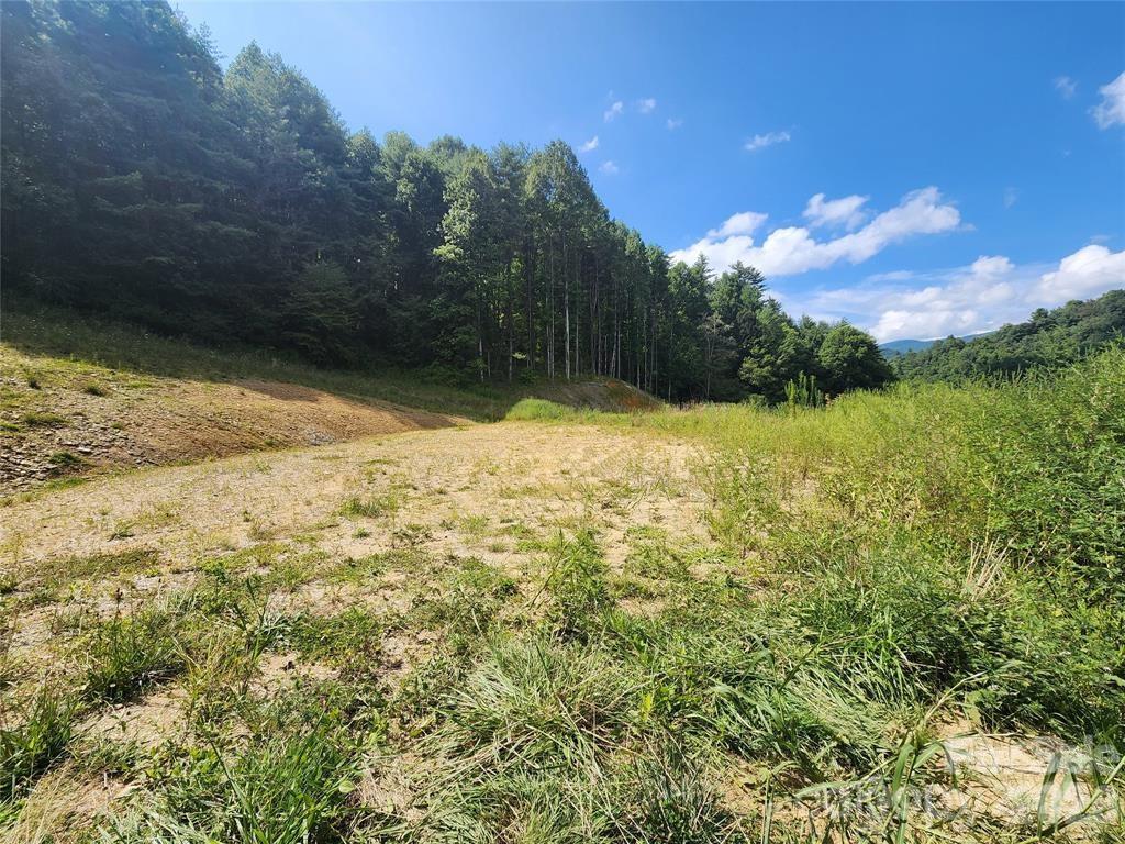 5570 Meadow Fork Road Hot Springs NC 28743
