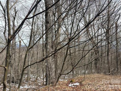 Lot 7 Chappell Farm North N Banner Elk NC 28604