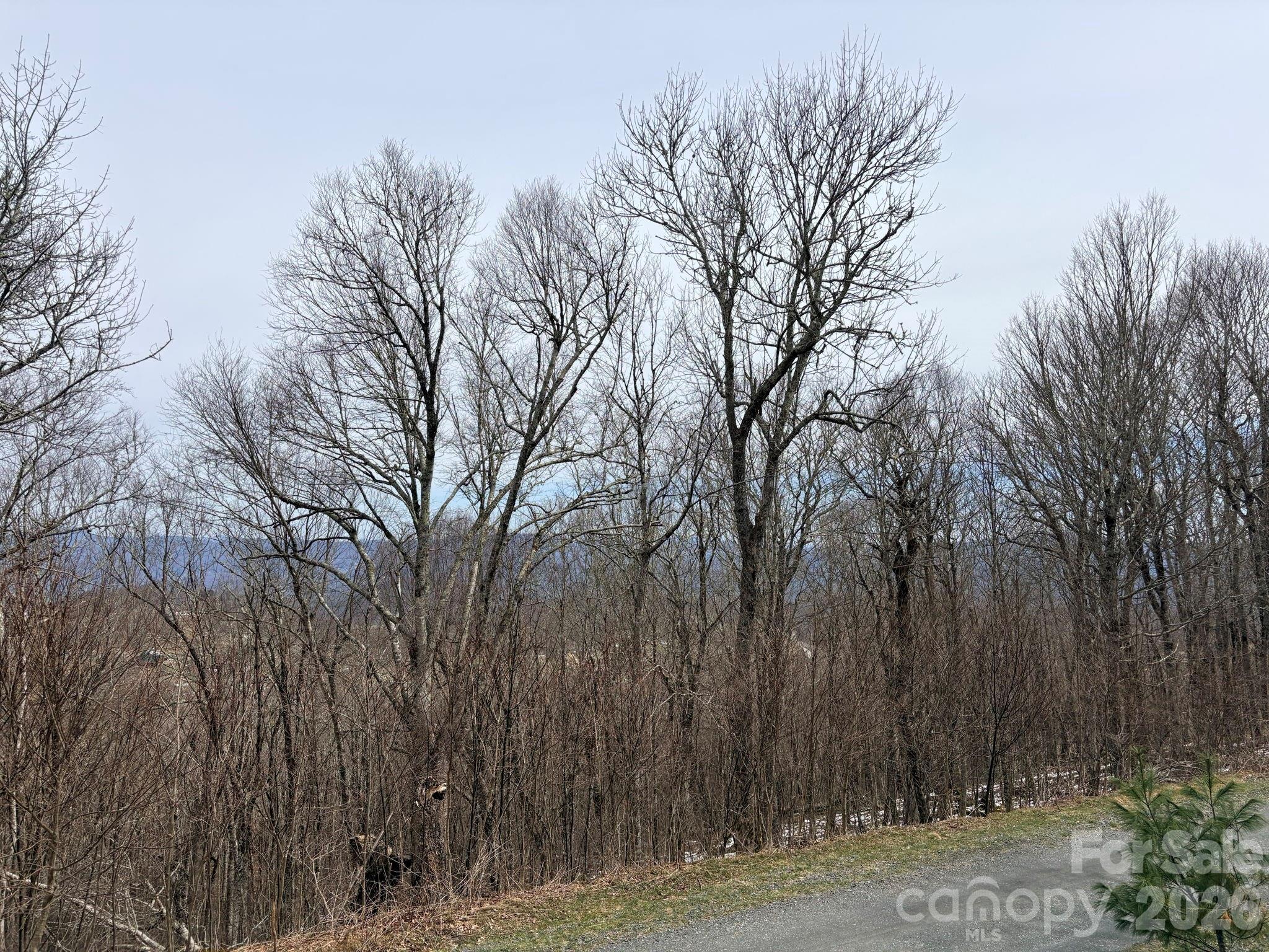 Lot 7 Chappell Farm North N Banner Elk NC 28604