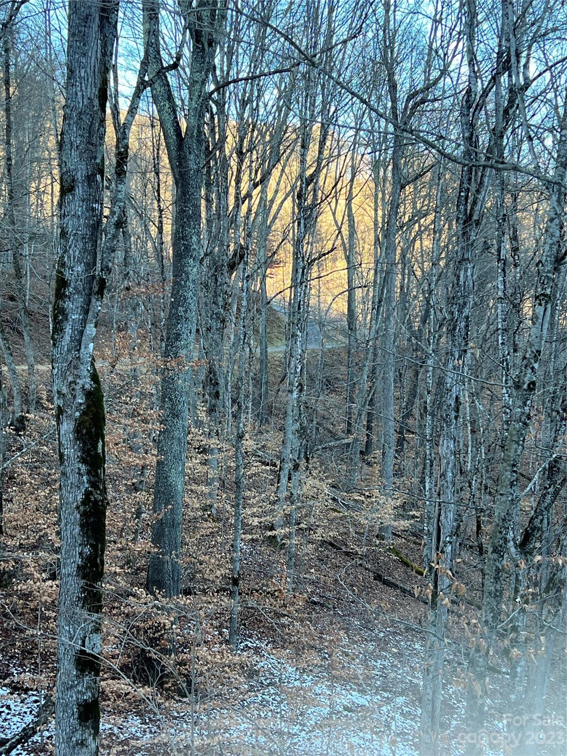 000 Bee Tree Lane Mars Hill NC 28754