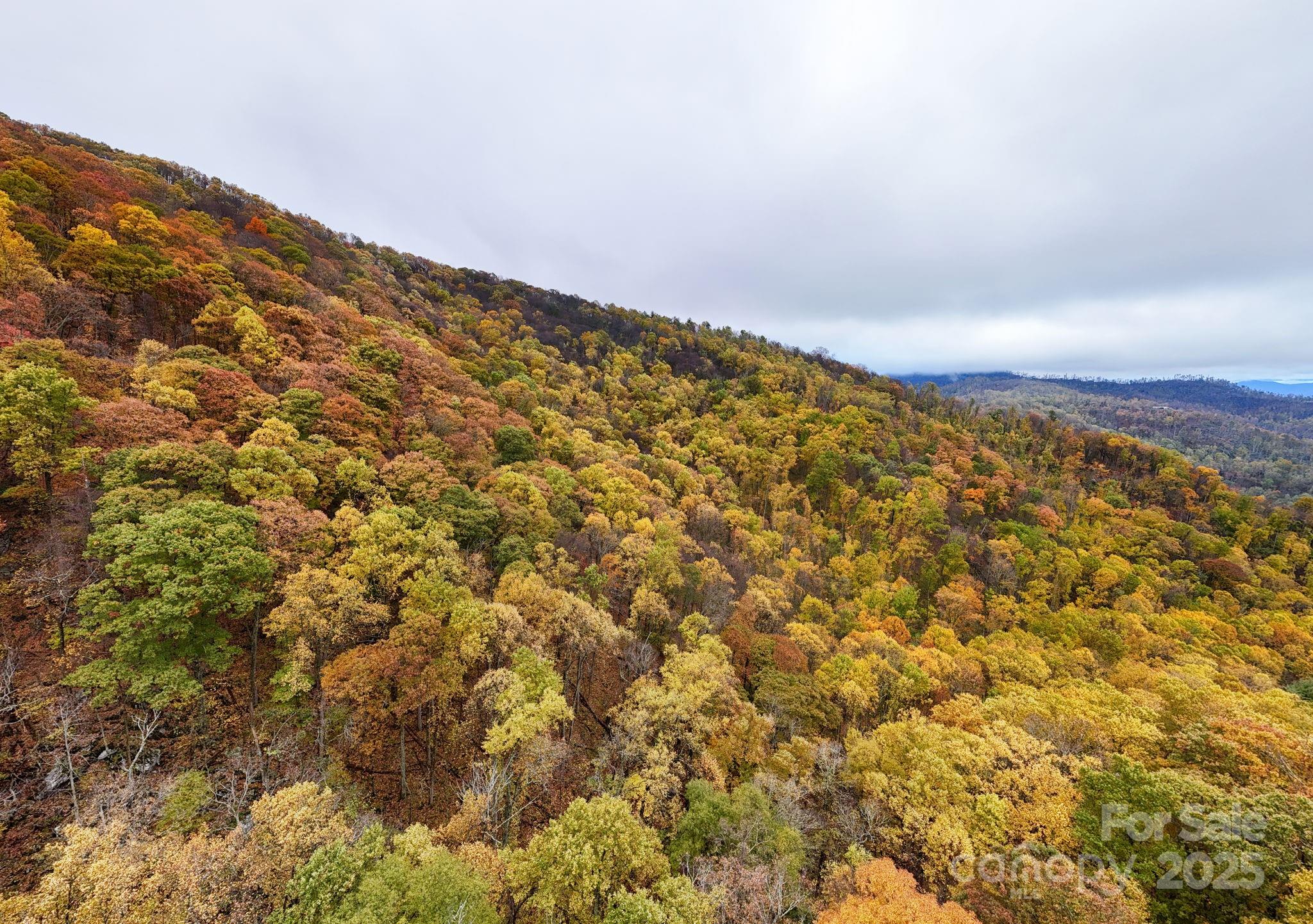 00 Ox Creek Road Weaverville NC 28787