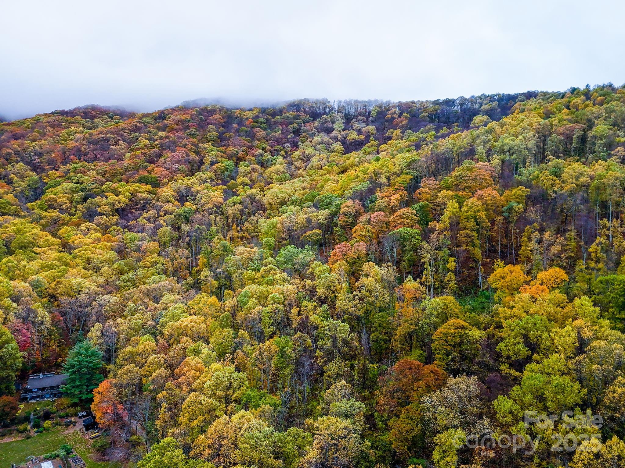 00 Ox Creek Road Weaverville NC 28787