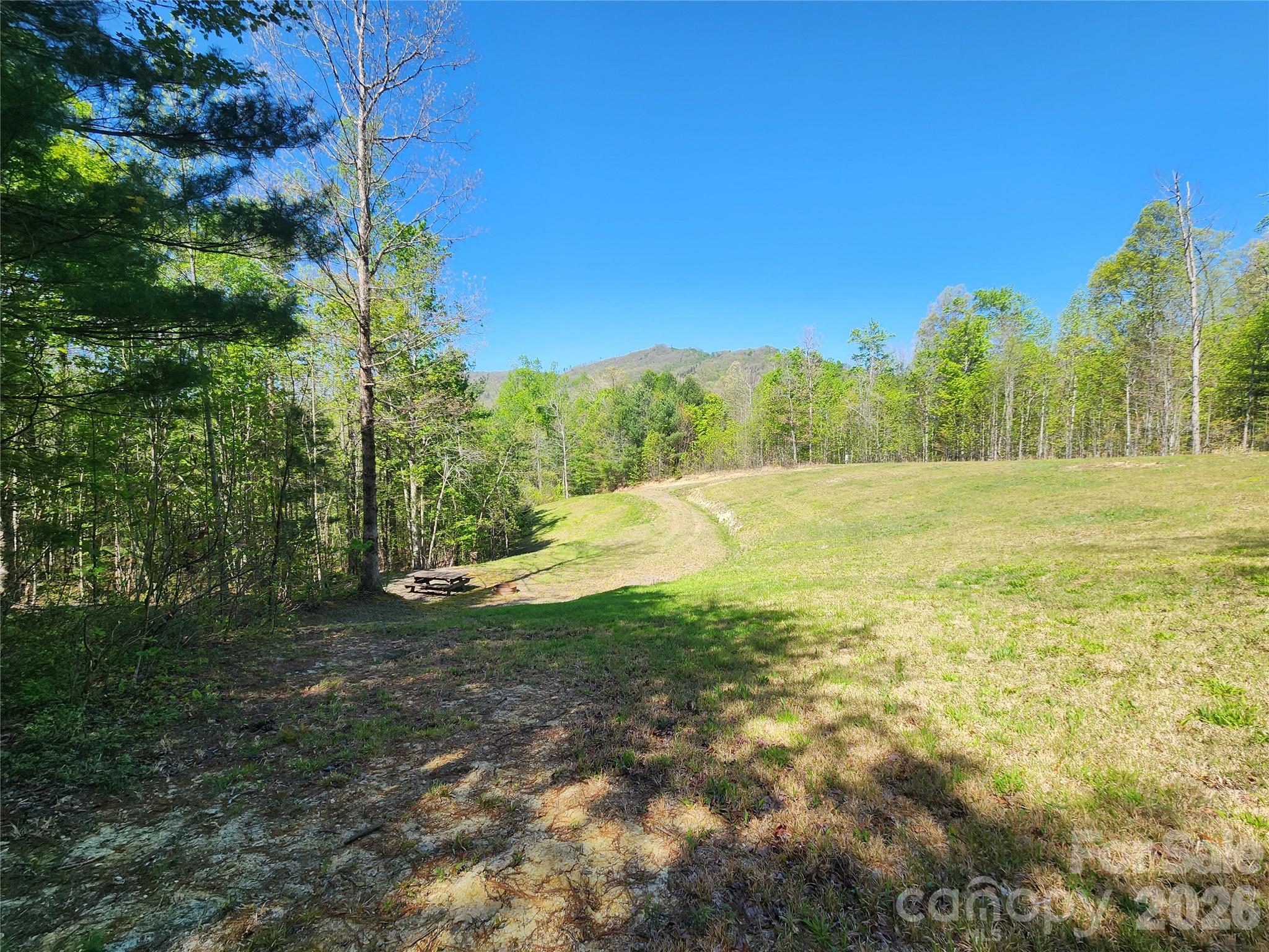 889 Firefly Trail Marshall NC 28753
