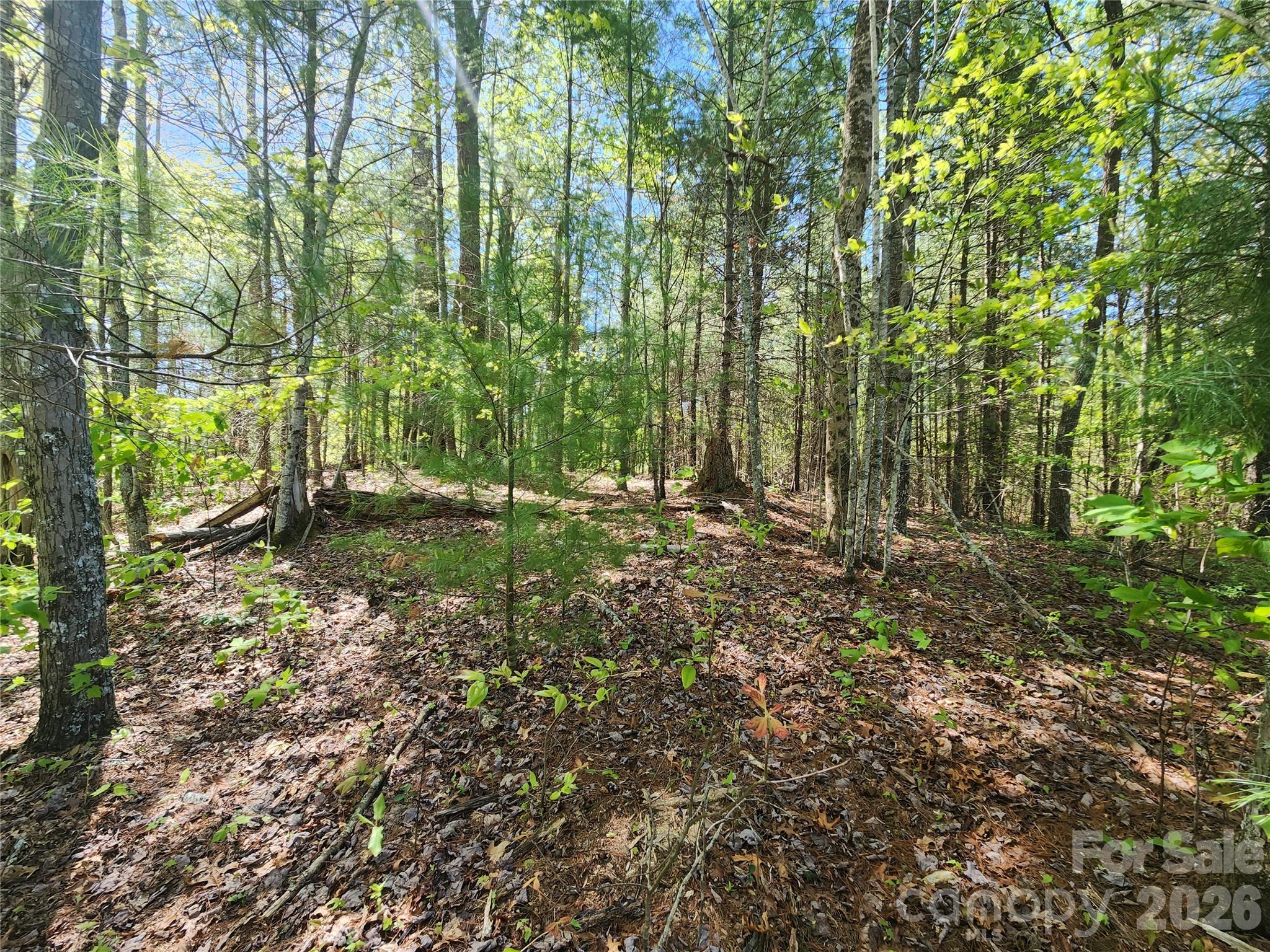 889 Firefly Trail Marshall NC 28753