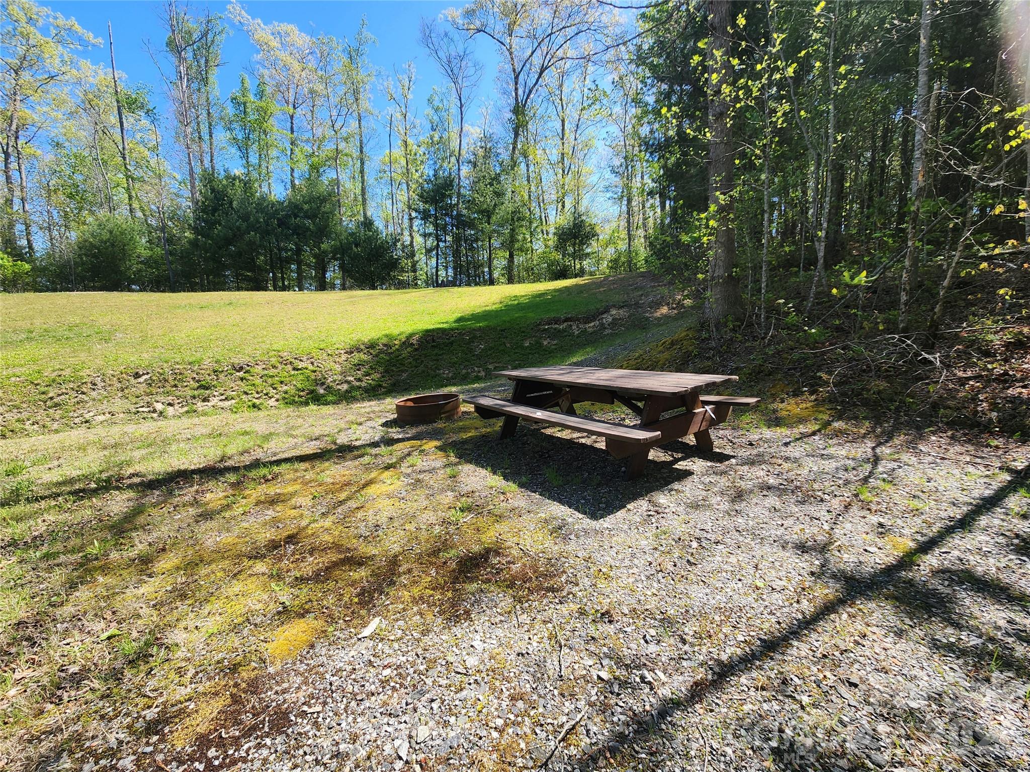 889 Firefly Trail Marshall NC 28753