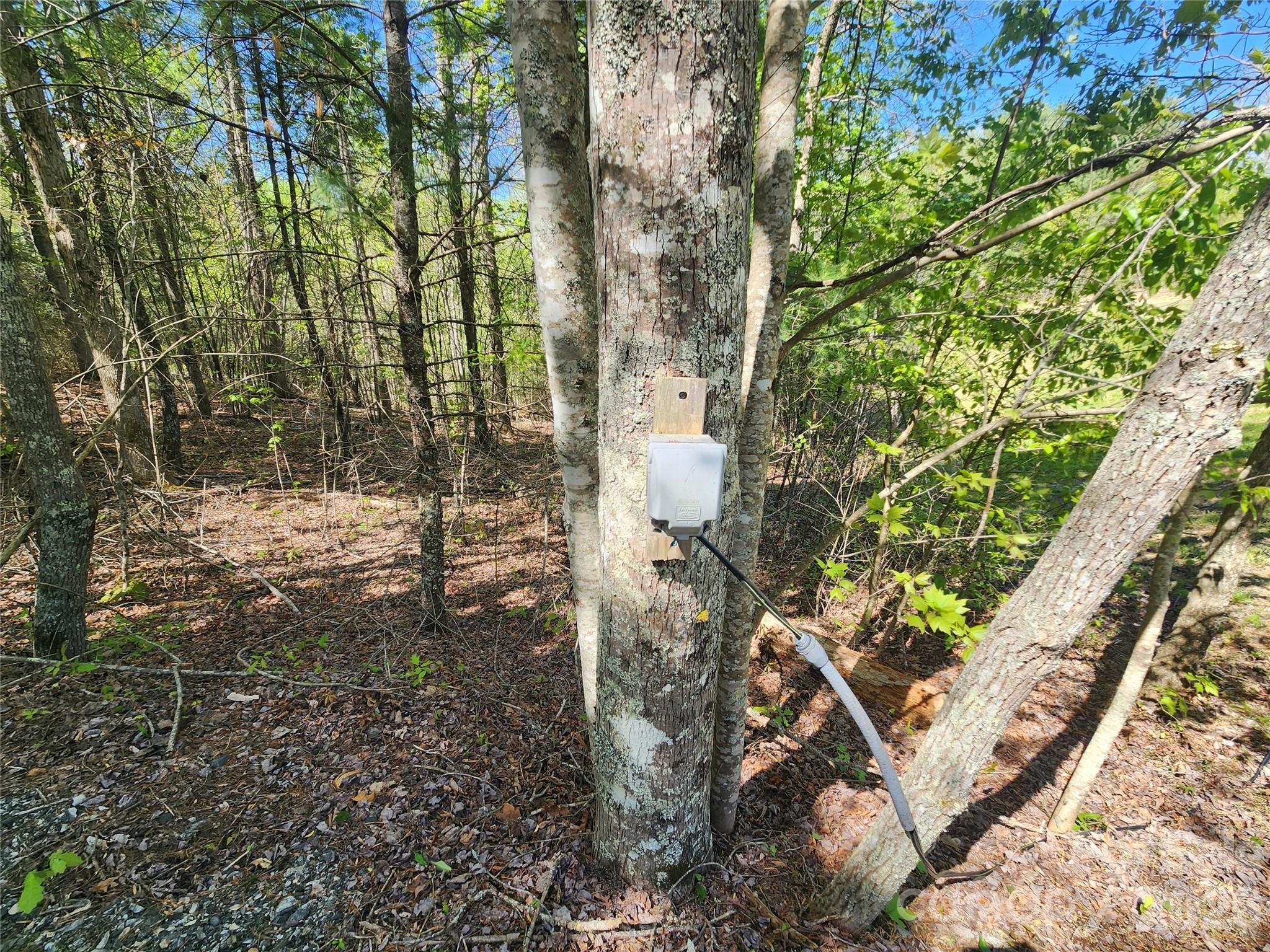 889 Firefly Trail Marshall NC 28753