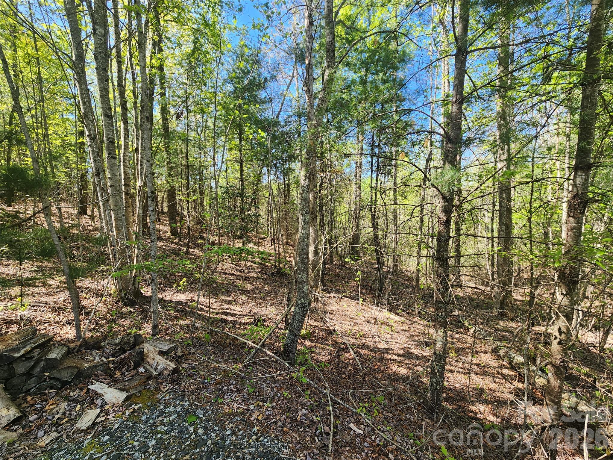889 Firefly Trail Marshall NC 28753