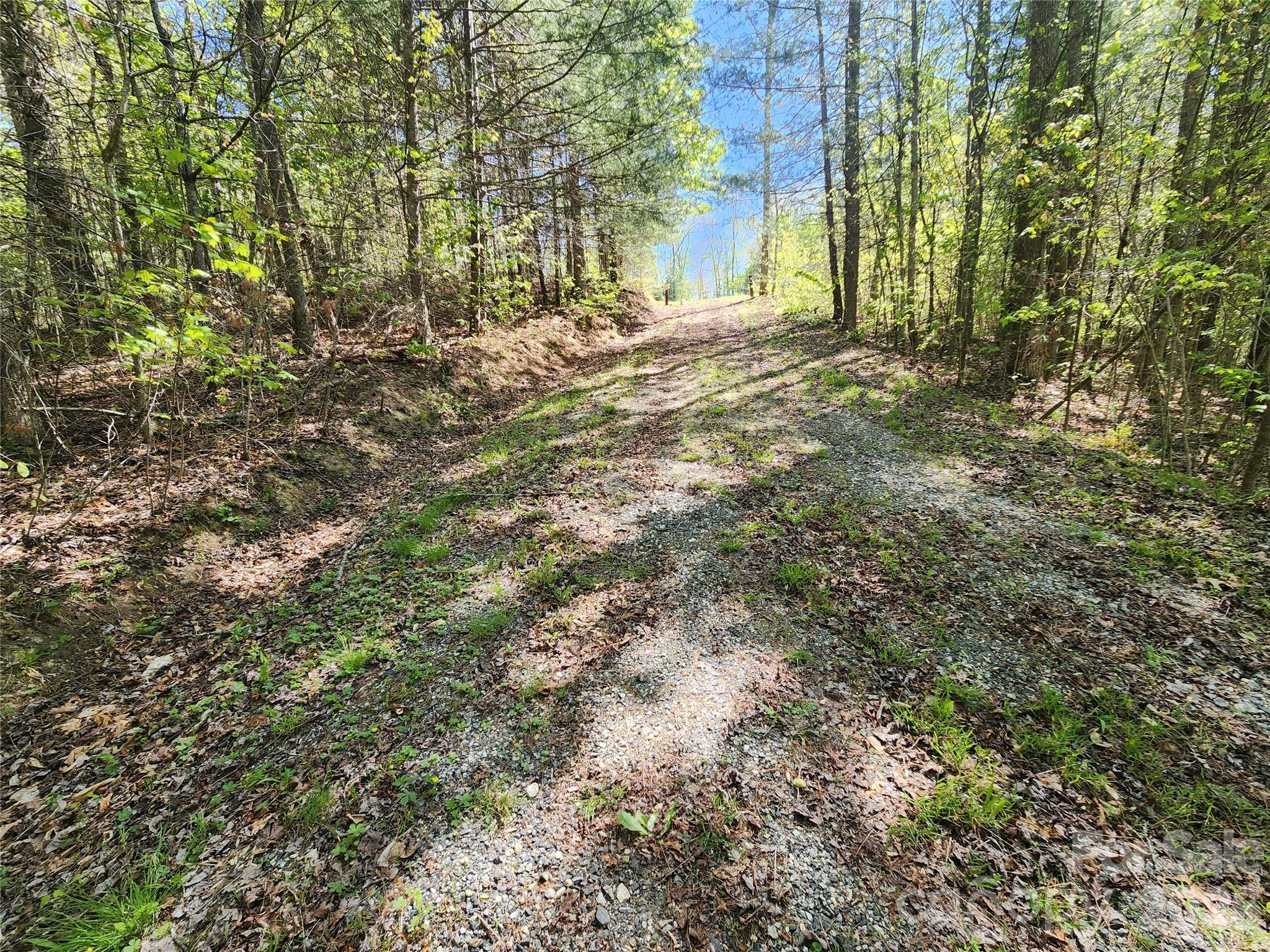 889 Firefly Trail Marshall NC 28753