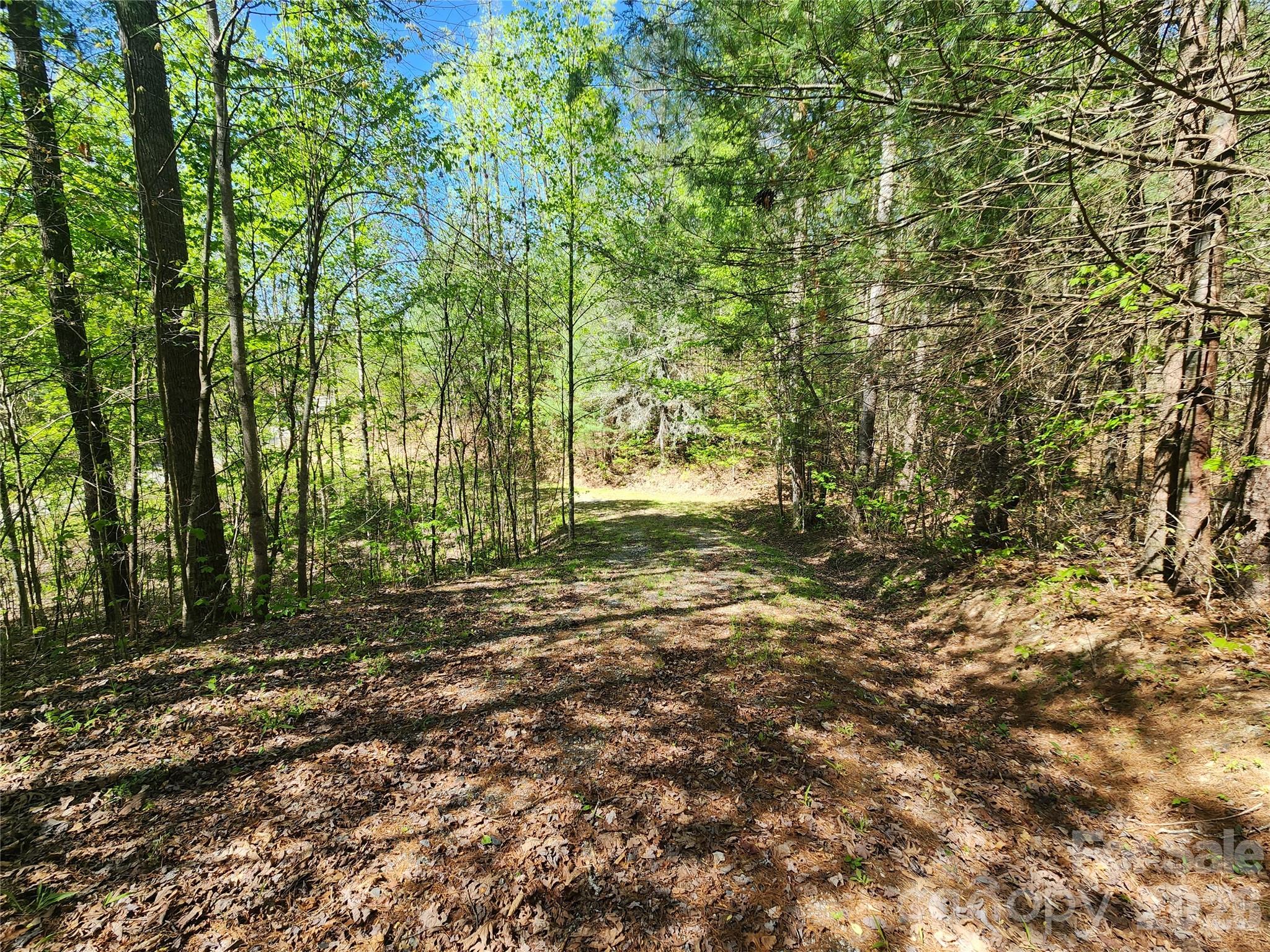 889 Firefly Trail Marshall NC 28753