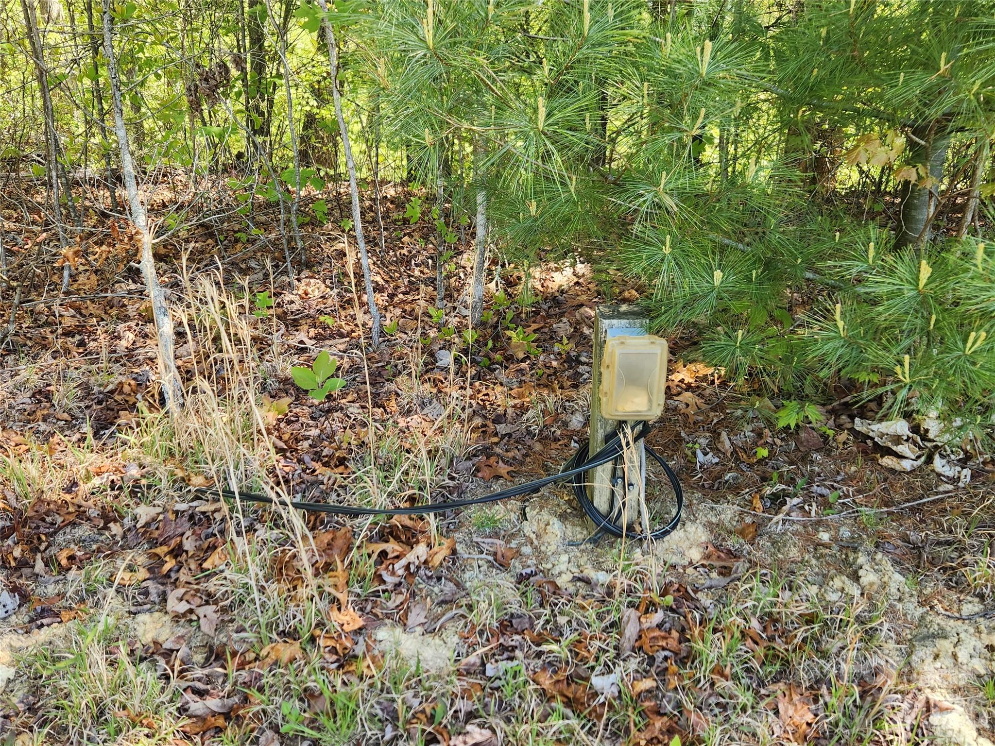 889 Firefly Trail Marshall NC 28753
