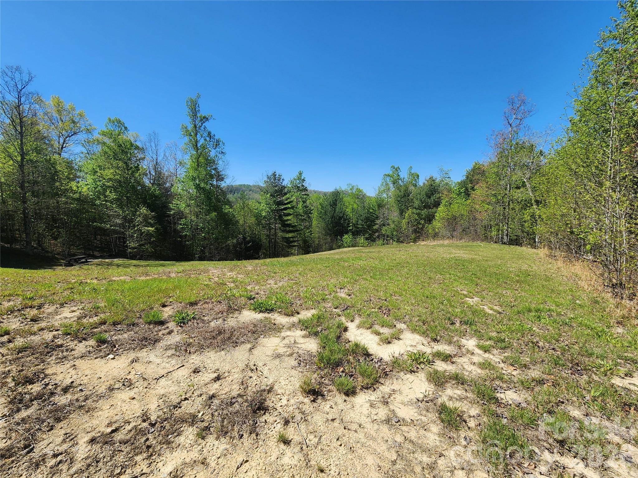 889 Firefly Trail Marshall NC 28753