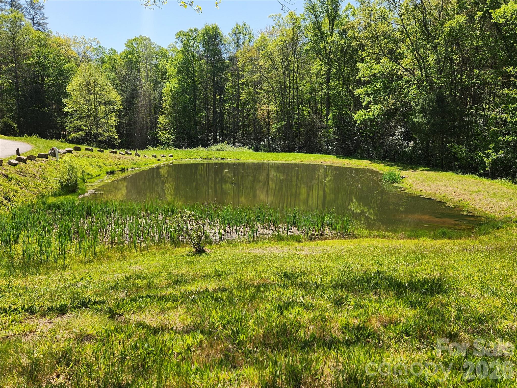 889 Firefly Trail Marshall NC 28753