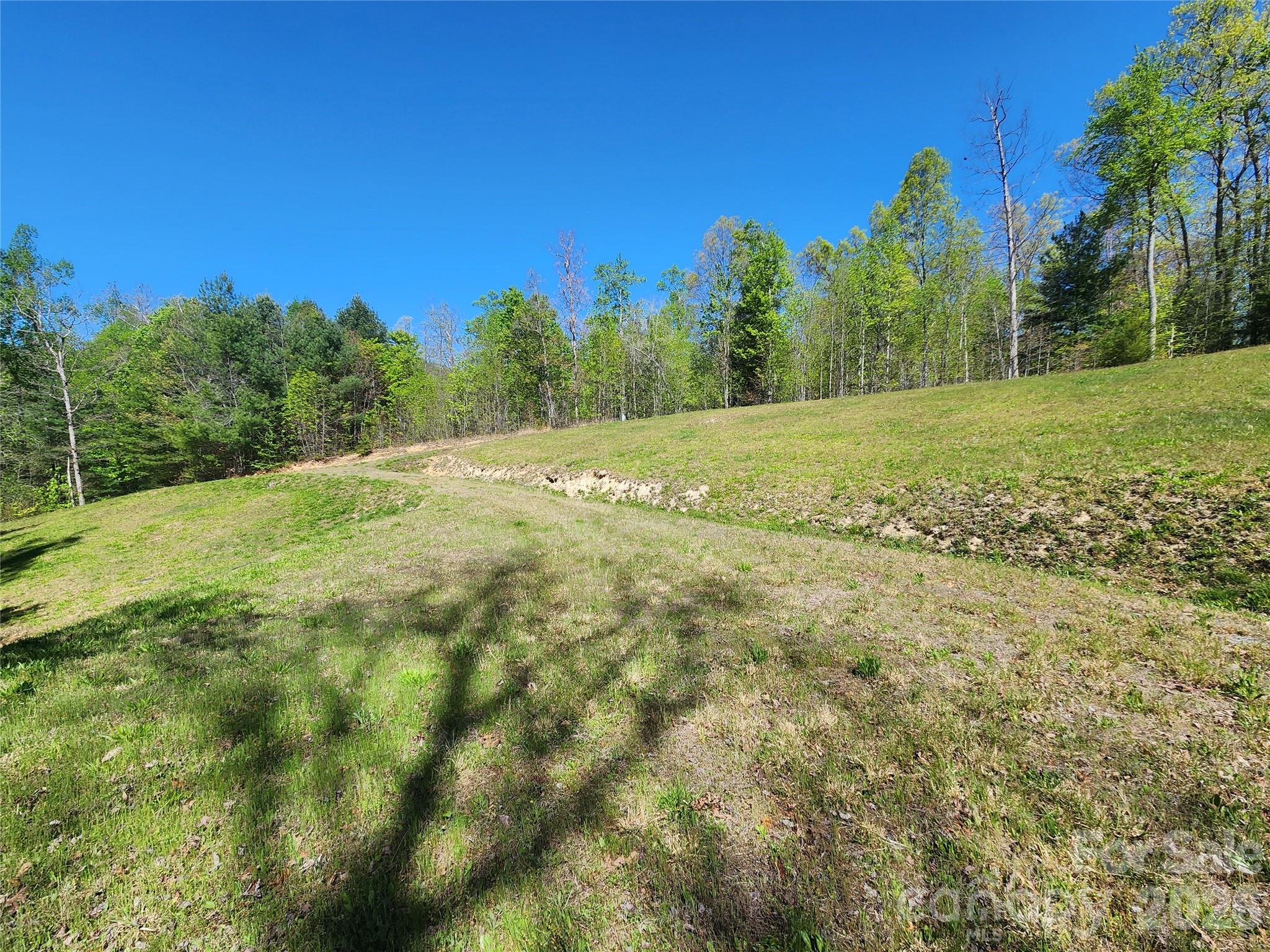889 Firefly Trail Marshall NC 28753