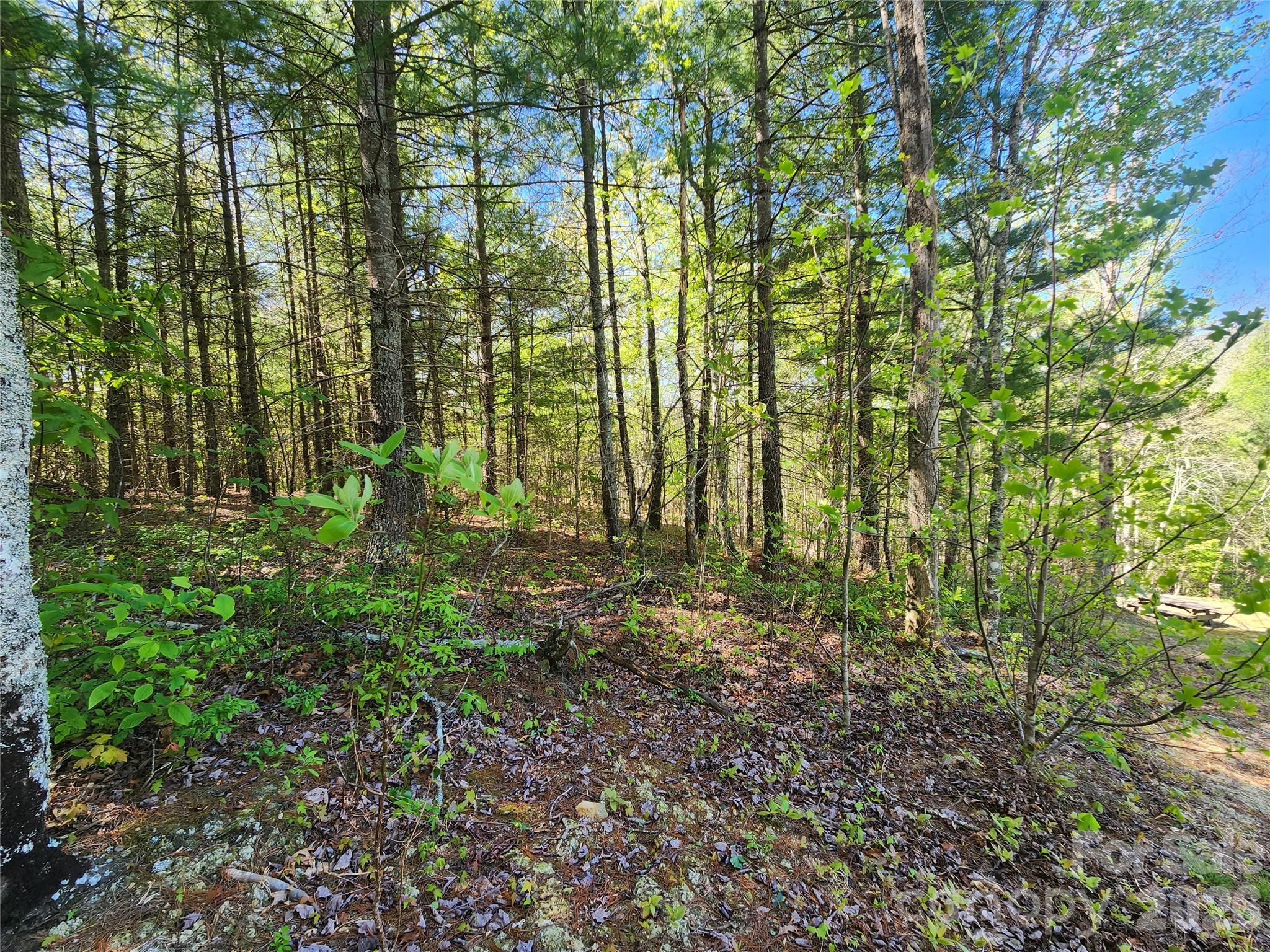 889 Firefly Trail Marshall NC 28753