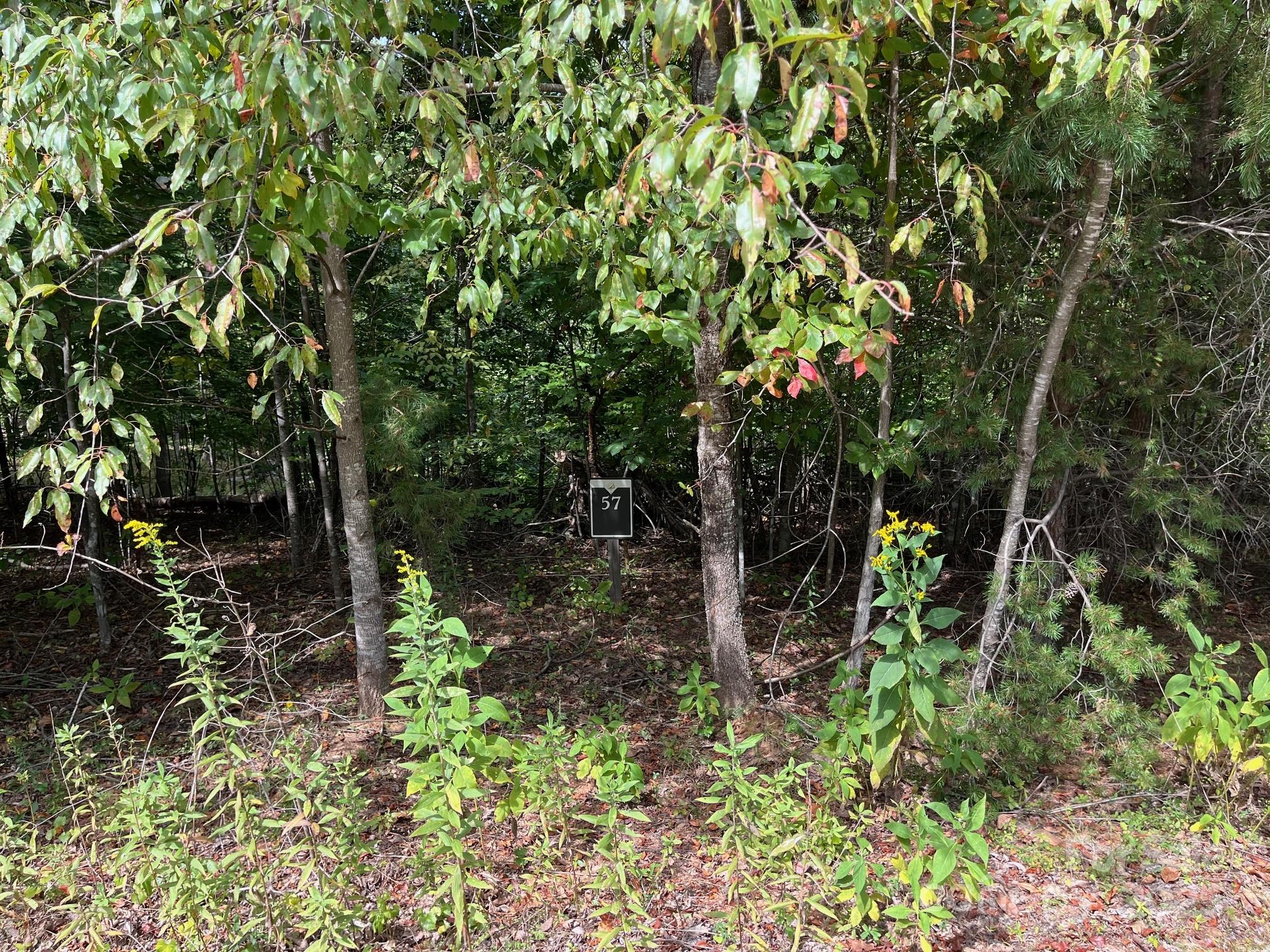 Lot 57 Perennial Drive Nebo NC 28761