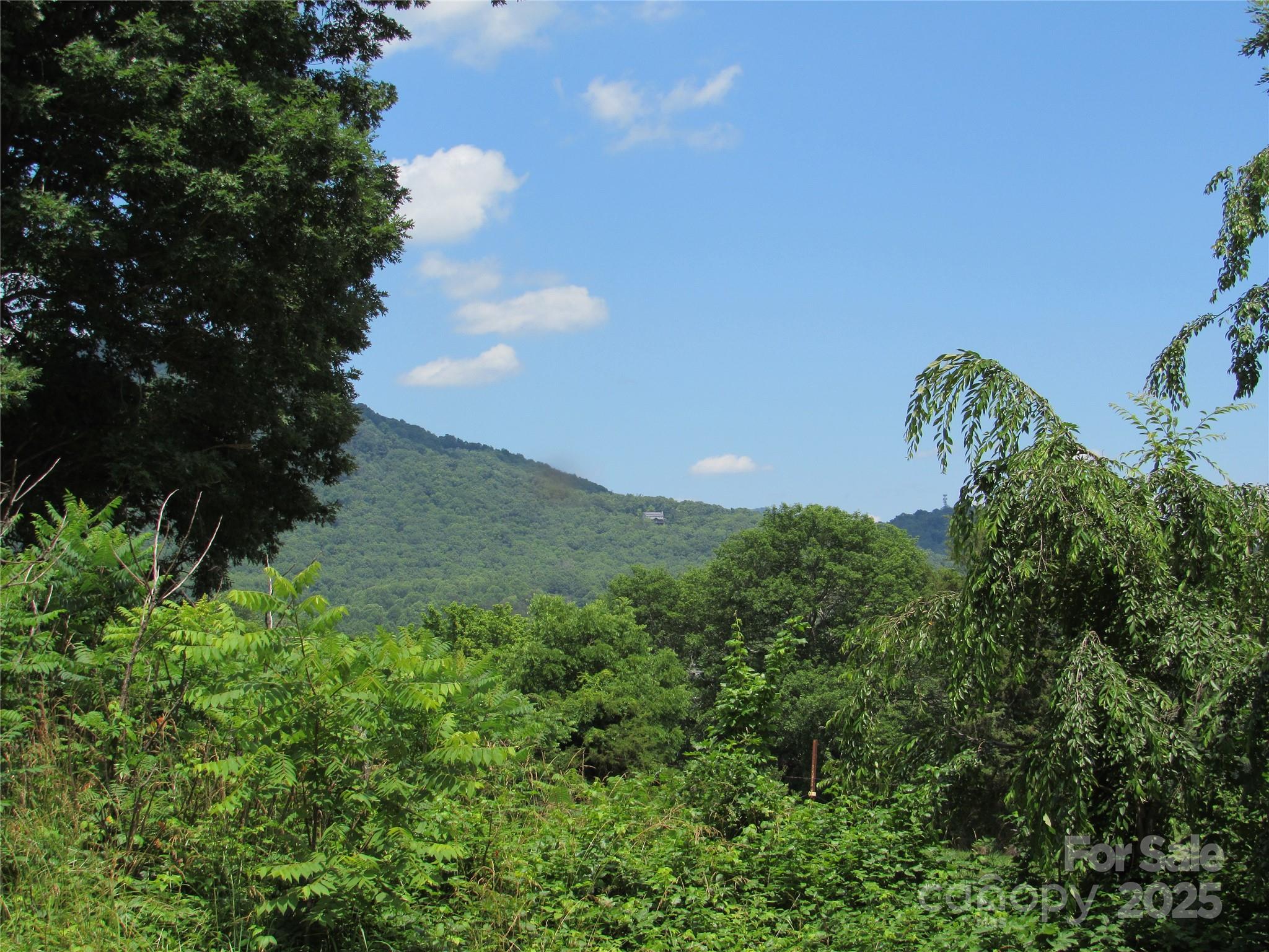 LT#4 Mystic View Lane Black Mountain NC 28711
