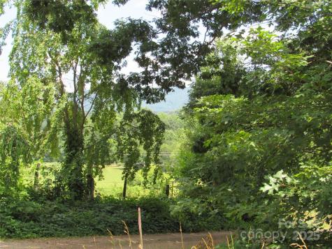 LT#4 Mystic View Lane Black Mountain NC 28711