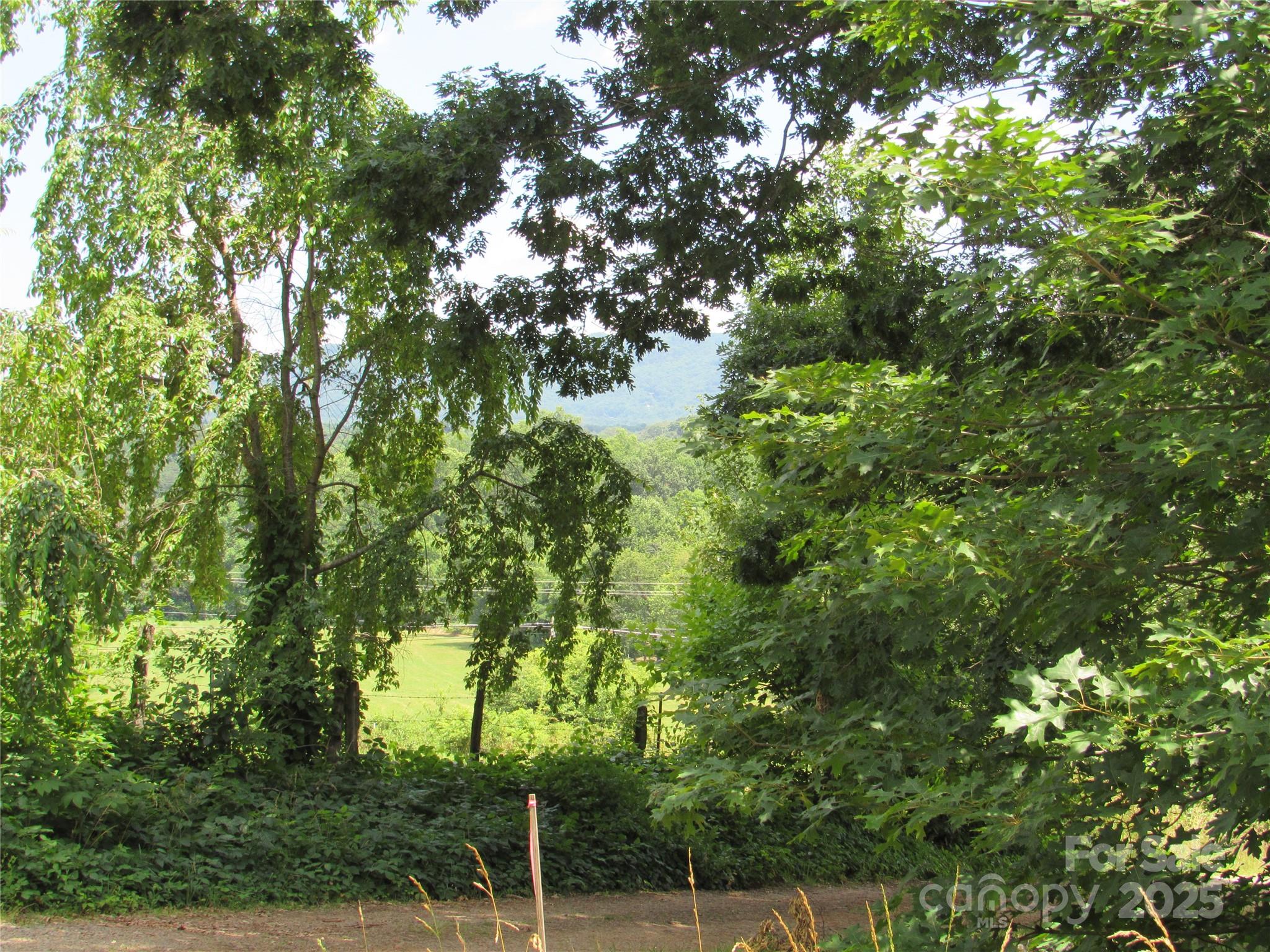 LT#4 Mystic View Lane Black Mountain NC 28711