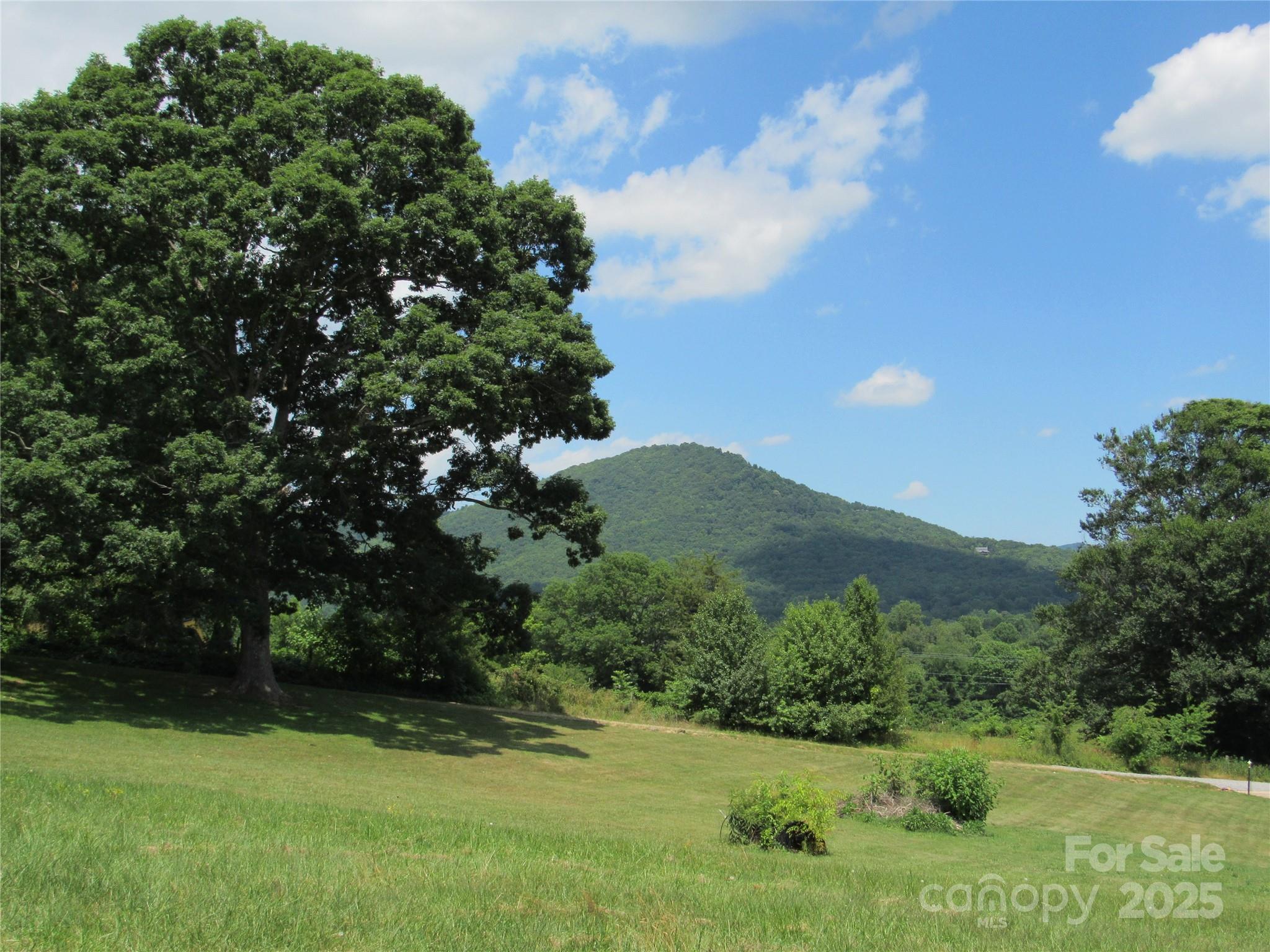 LT#4 Mystic View Lane Black Mountain NC 28711