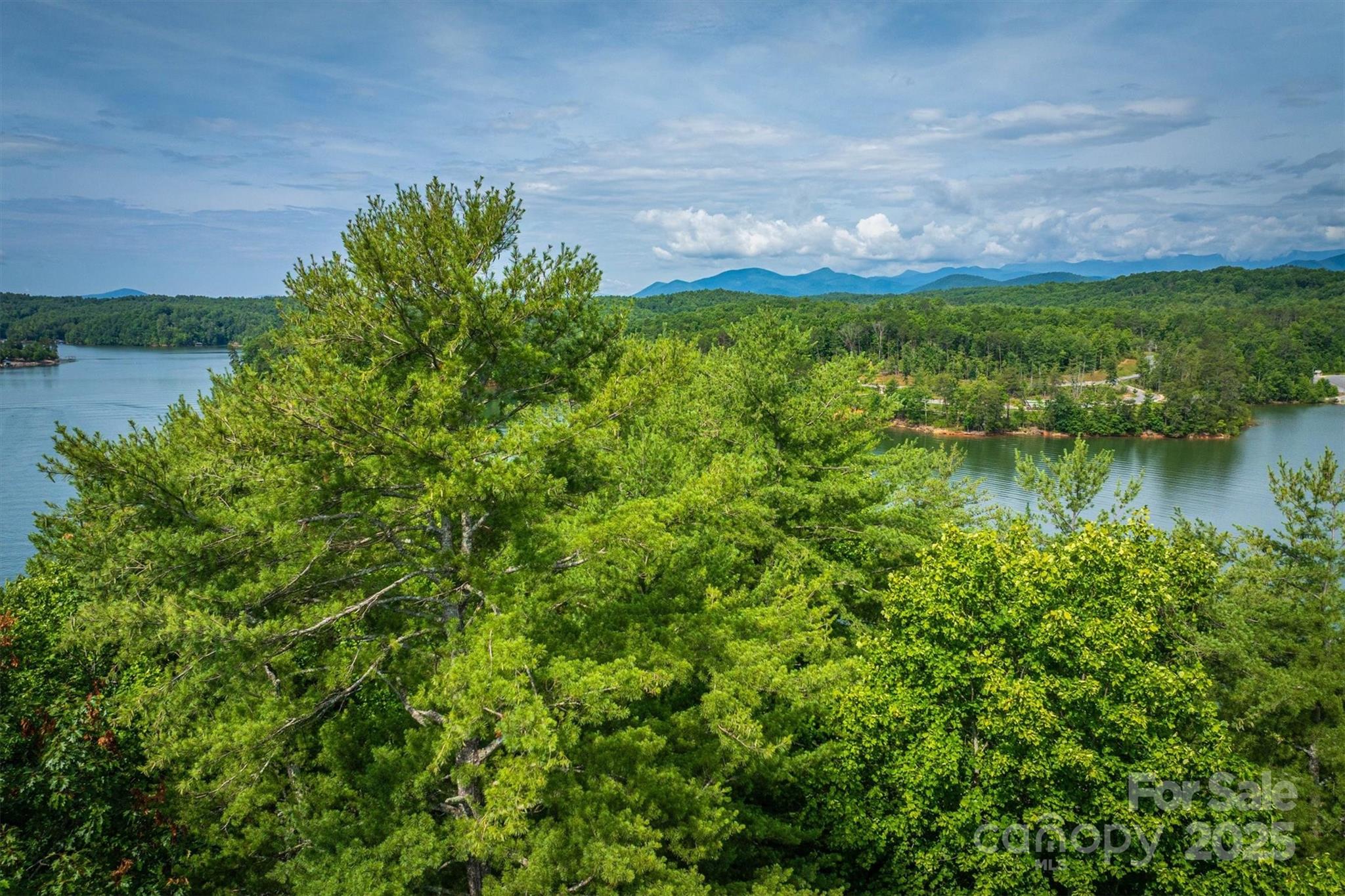 810 & Tbd Marina Drive Nebo NC 28761