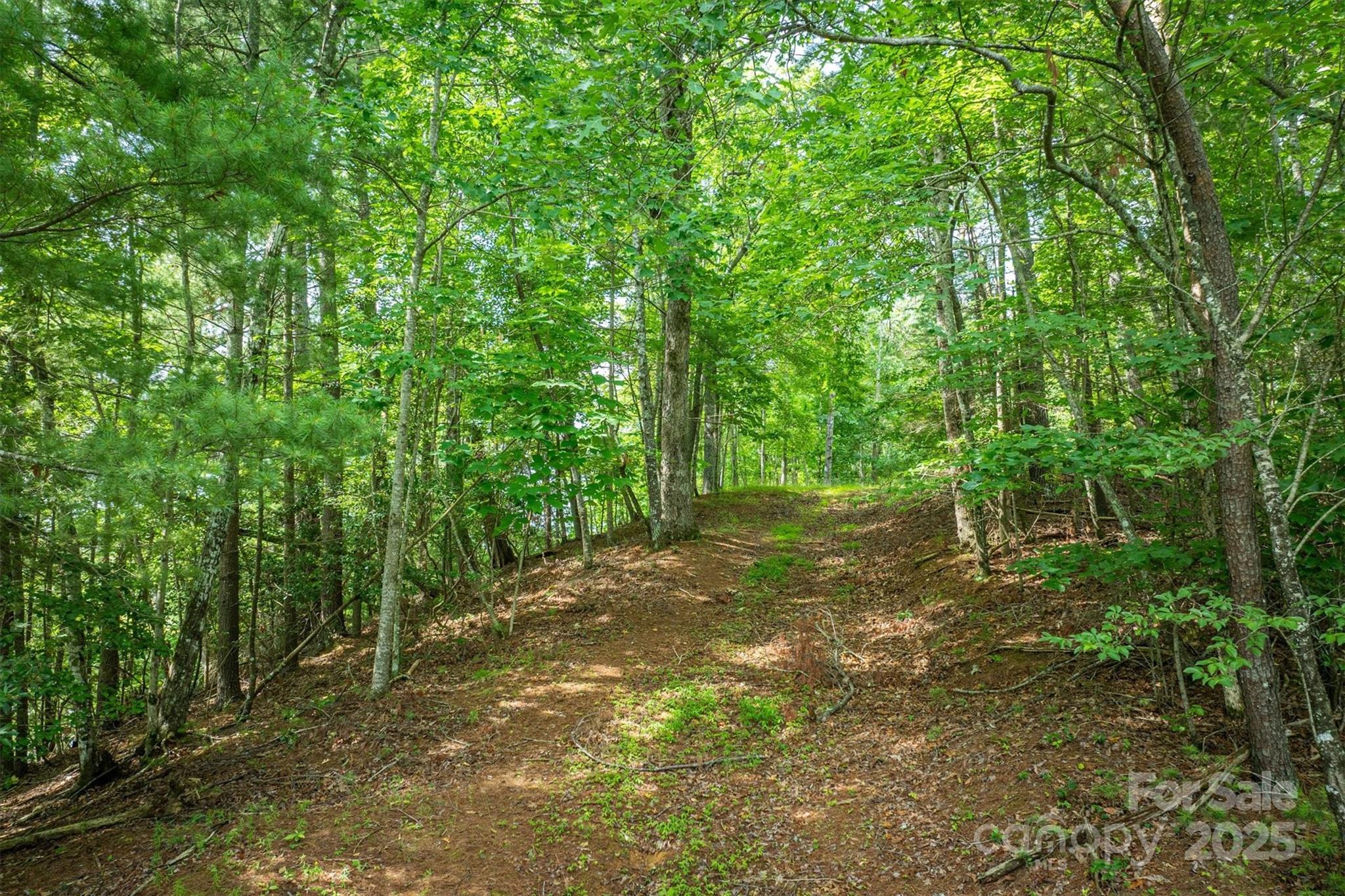 810 & Tbd Marina Drive Nebo NC 28761