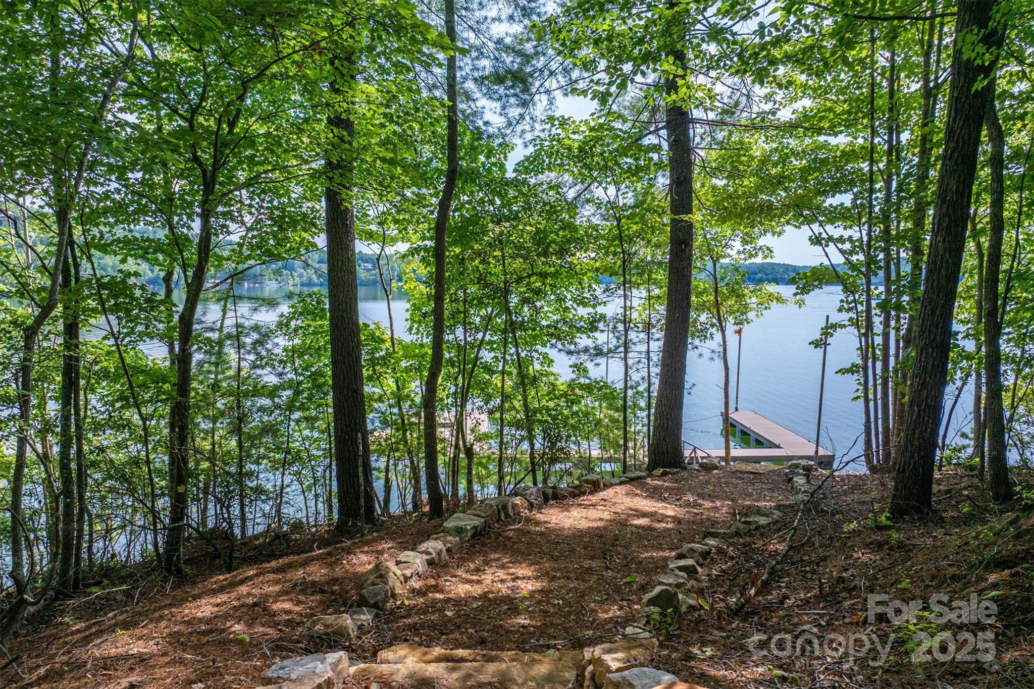 810 & Tbd Marina Drive Nebo NC 28761