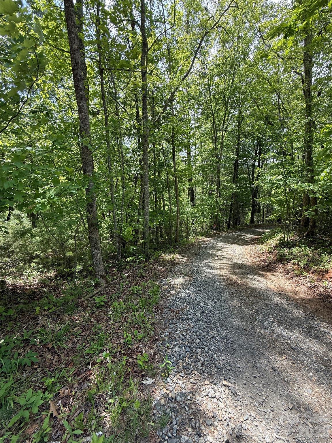 242 Area Radford Road Mars Hill NC 28754