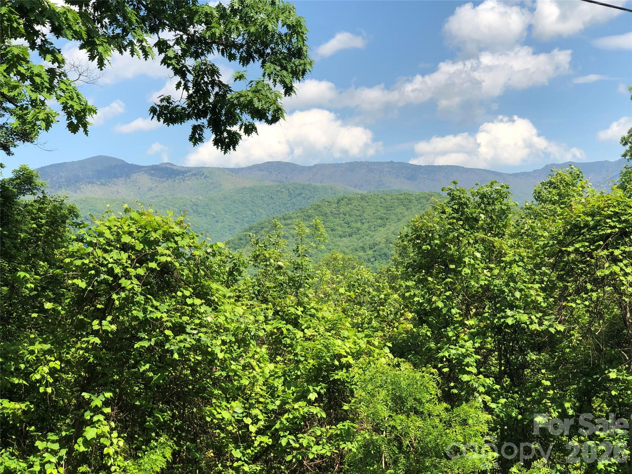 Lots 61 And 62 Wildwood Drive Burnsville NC 28714