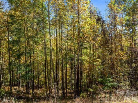 Lots 61 And 62 Wildwood Drive Burnsville NC 28714