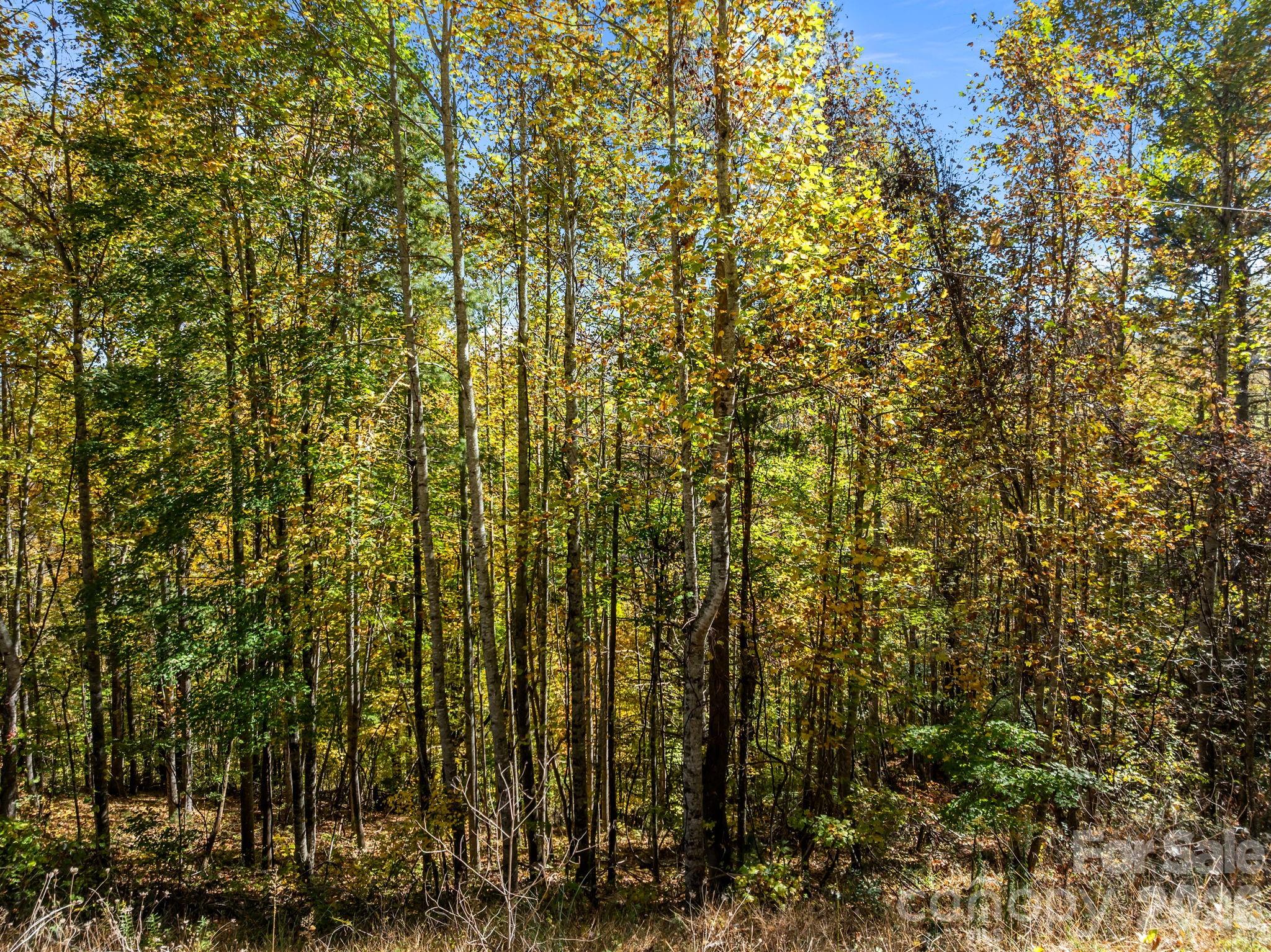 Lots 61 And 62 Wildwood Drive Burnsville NC 28714