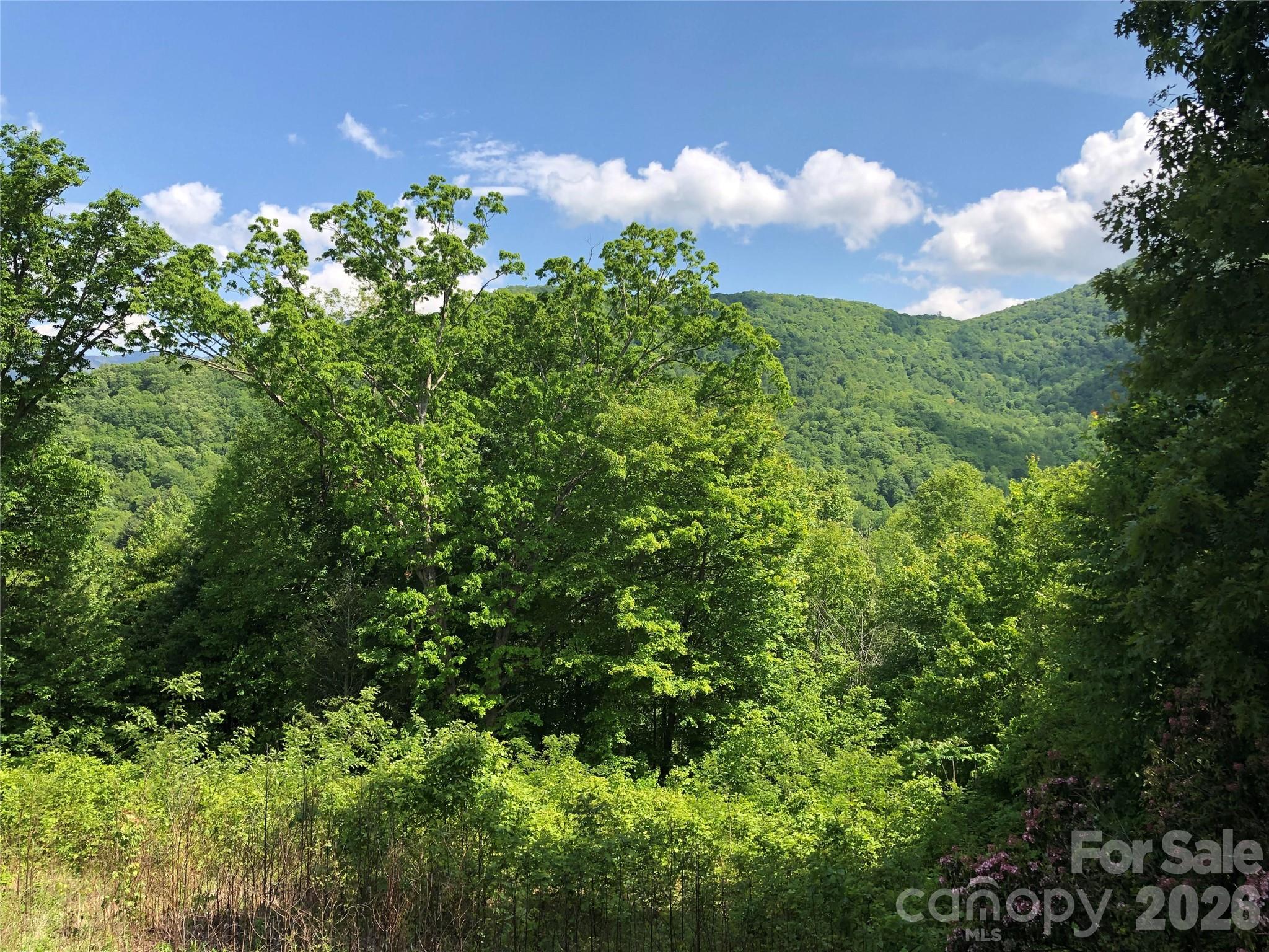 Lots 61 And 62 Wildwood Drive Burnsville NC 28714
