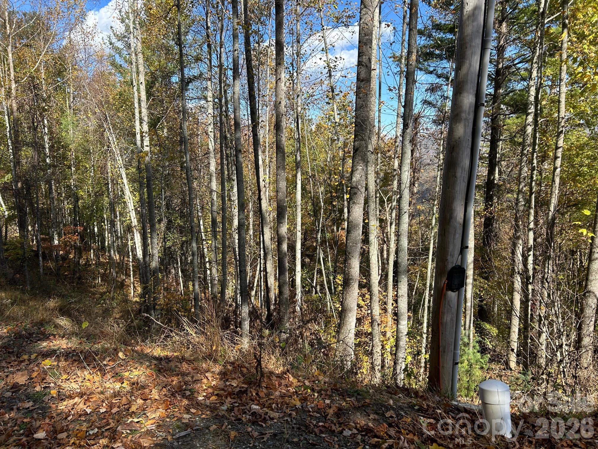 Lots 61 And 62 Wildwood Drive Burnsville NC 28714