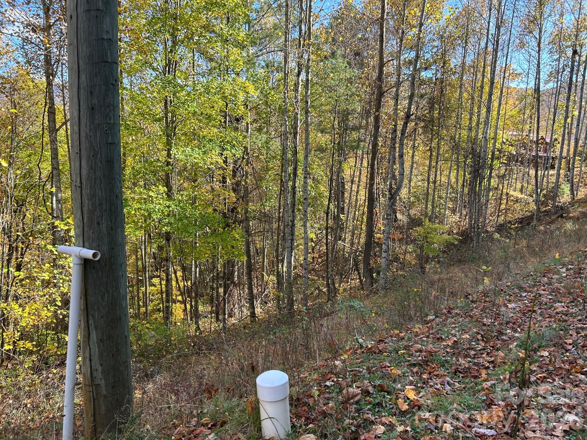 Lots 61 And 62 Wildwood Drive Burnsville NC 28714
