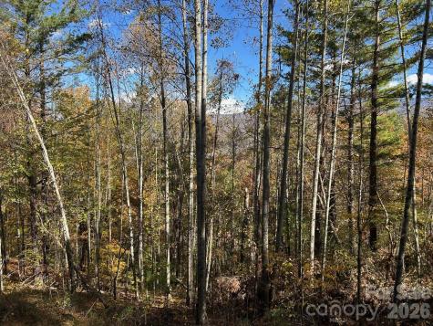 Lots 61 And 62 Wildwood Drive Burnsville NC 28714